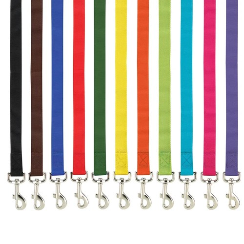 Casual canine dog - dog, leash