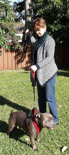 Heavy duty 6ft dog leash - heavy-duty, with